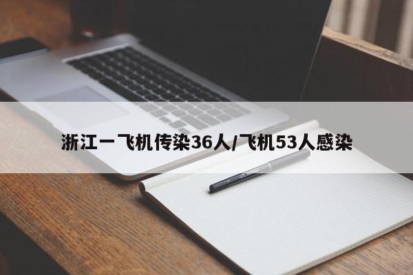浙江一飞机传染36人/飞机53人感染